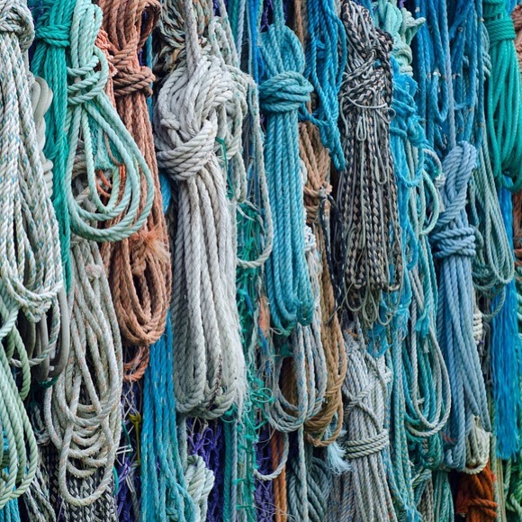 Meet your Posher, Elizabeth - Picture 3 of 3